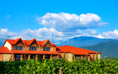 For Sale Commercial Shilda Kvareli Kakheti