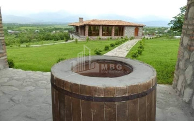 For Sale Commercial Atskuri Akhmeta Kakheti