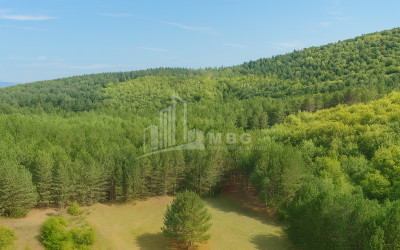 Продается Земля Городок Сурами Хашури Шида Картли