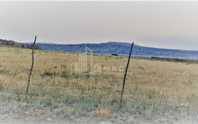 Продается Земля Квемо Бодбе Сигнаgи Кахети