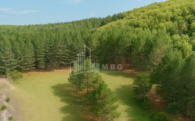 Продается Земля Городок Сурами Хашури Шида Картли