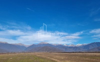For Sale Land Eniseli Kvareli Kakheti