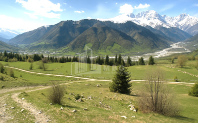For Sale Land Mestia Samegrelo   Upper Svaneti