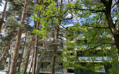 For Sale Flat Manglisi Tetritskaro Kvemo Kartli