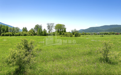 იყიდება მიწის ნაკვეთი ქვემო ნაქალაქარი თიანეთი მცხეთა   მთიანეთი