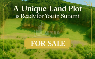 For-Sale-Land-Daba-Surami-Khashuri-Shida-Kartli