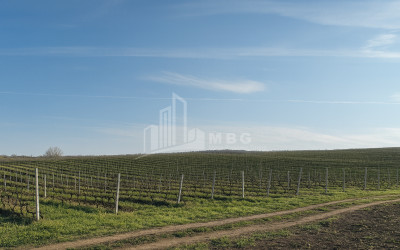 For Sale Land Zegaani Gurjaani Kakheti