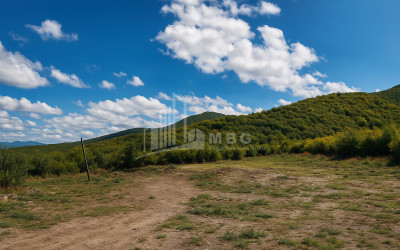 იყიდება მიწის ნაკვეთი სიღნაღი კახეთი