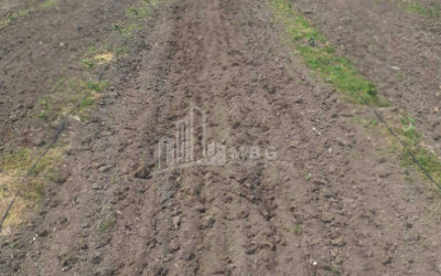 იყიდება მიწის ნაკვეთი სენაკი სამეგრელო   ზემო სვანეთი