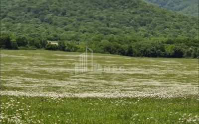 Продается Земля Гомбори Сагареджо Кахети