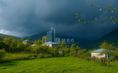 For Sale Land Baji Ambrolauri Racha   Lechxumi Kvemo Svaneti