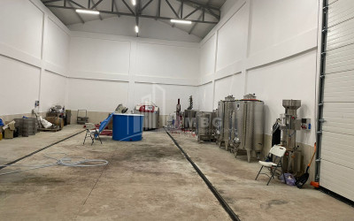 იყიდება კომერციული ფართი დოესი კასპი შიდა ქართლი