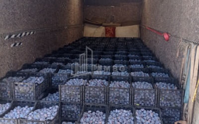 Продается Земля Бакурцихе Гурджаани Кахети