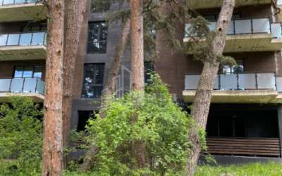 For Sale Flat Manglisi Tetritskaro Kvemo Kartli