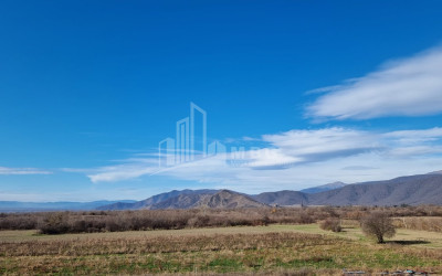 For Sale Land Eniseli Kvareli Kakheti