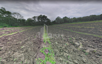 For Sale Land Kvareli Kakheti
