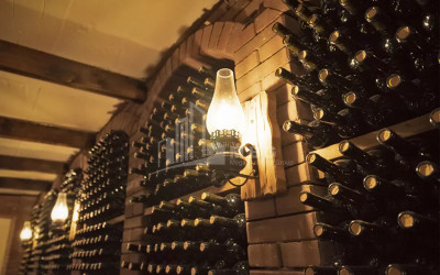 Продается Коммерческий Хашми Сагареджо Кахети