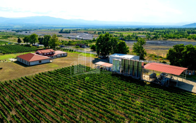 For Sale Commercial Shilda Kvareli Kakheti