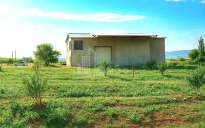 იყიდება კომერციული ფართი დოესი კასპი შიდა ქართლი