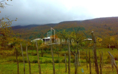 Продается Земля Иста Амбролаури Рача   Лечхуми Квемо Сванети