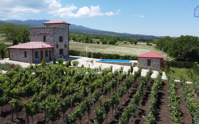 Продается Коммерческий Телави Кахети