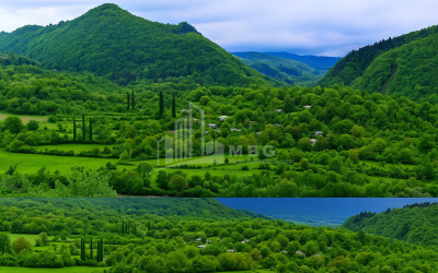 For Sale Land Baji Ambrolauri Racha   Lechxumi Kvemo Svaneti