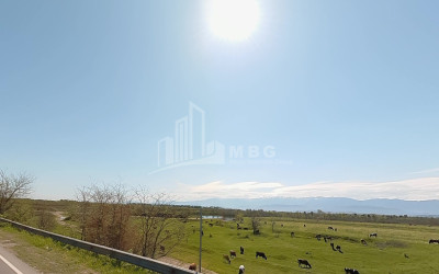 For Sale Land Kutaisi Imereti