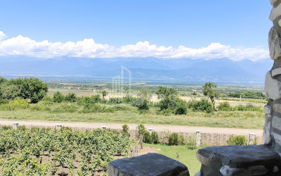 Продается Коммерческий Телави Кахети