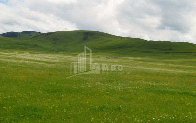 For Sale Land Dmanisi City Dmanisi Kvemo Kartli