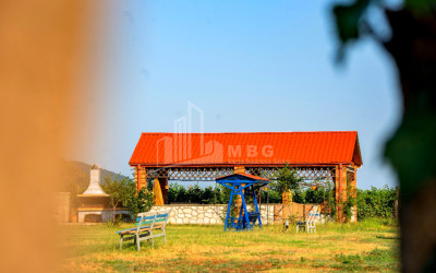 For Sale Commercial Shilda Kvareli Kakheti