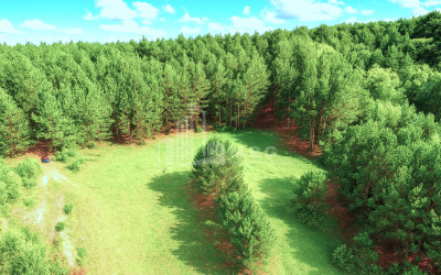 Продается Земля Городок Сурами Хашури Шида Картли