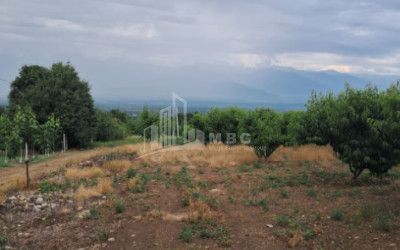 იყიდება მიწის ნაკვეთი თელავი კახეთი