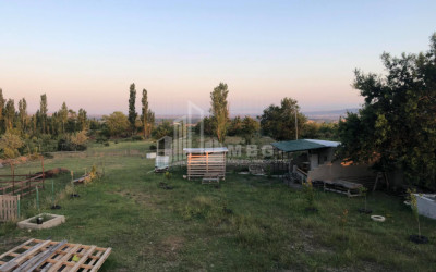 იყიდება მიწის ნაკვეთი ნასაგური სამგორის რაიონი თბილისი